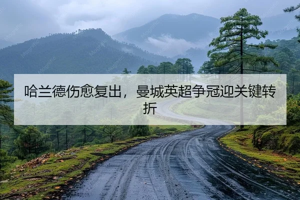哈兰德伤愈复出，曼城英超争冠迎关键转折